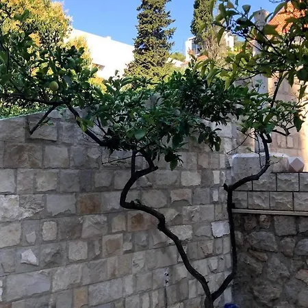 Beachfront Dubrovnik Villa Exterior photo
