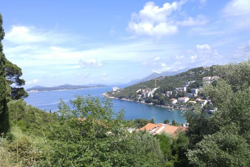 Hébergement de vacances Beachfront